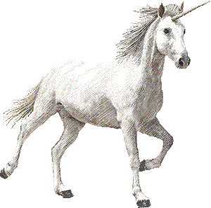 unicorno-1